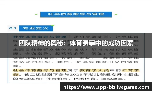 团队精神的奥秘：体育赛事中的成功因素